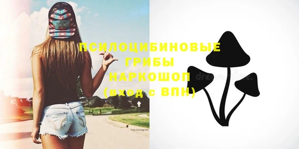 ПСИЛОЦИБИНОВЫЕ ГРИБЫ Покачи