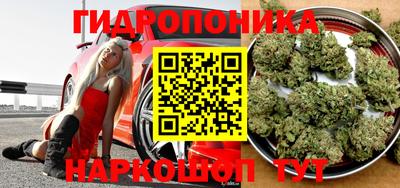 jwh Ярославль