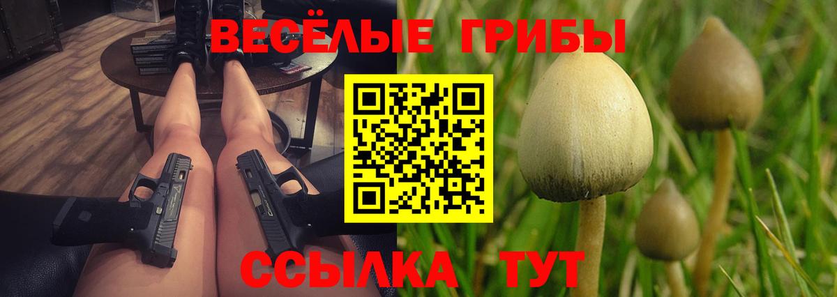 Псилоцибиновые грибы MAGIC MUSHROOMS  Вход с VPN  Псилоцибиновые грибы Cubensis  Ангарск 