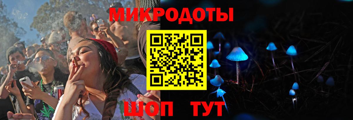 Псилоцибиновые грибы Psilocybine cubensis  Ангарск 